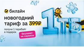 Что такое новогодний тариф в МЕТРОНОМ