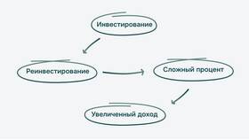 Что такое пай в инвестициях простыми словами в МЕТРОНОМ
