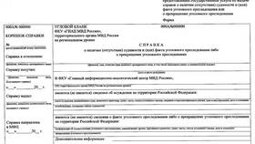 Как быстро получить справку об отсутствии судимости в МЕТРОНОМ