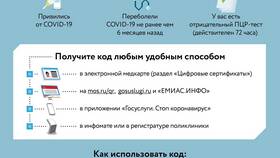 Как найти QR-код для сканирования в МЕТРОНОМ