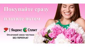 Как оплатить Яндекс Сплит частями в МЕТРОНОМ