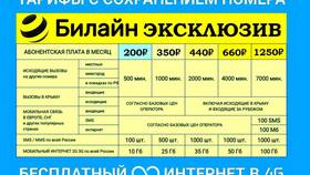 Как переподключить тариф Билайн в МЕТРОНОМ
