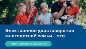 Как получить статус многодетного отца через Госуслуги