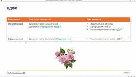 Как проверить НДФЛ в МЕТРОНОМ