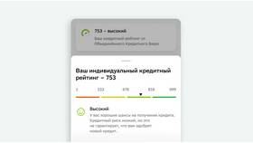 Как рассчитывается кредит в МЕТРОНОМ