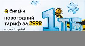 Как узнать остаток интернет-трафика на Билайн