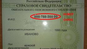 Как выглядит СНИЛС ребенка в 2025 году в МЕТРОНОМ