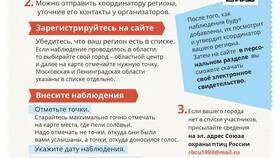 Почему нельзя отправлять комментарии в МЕТРОНОМ
