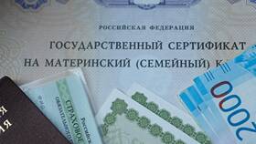 Справка о том что материнский капитал в МЕТРОНОМ