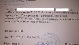 Тип справки: что это означает в МЕТРОНОМ