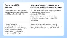 Зачем самозанятые платят налоги в МЕТРОНОМ