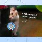 С чего ИП платит НДФЛ