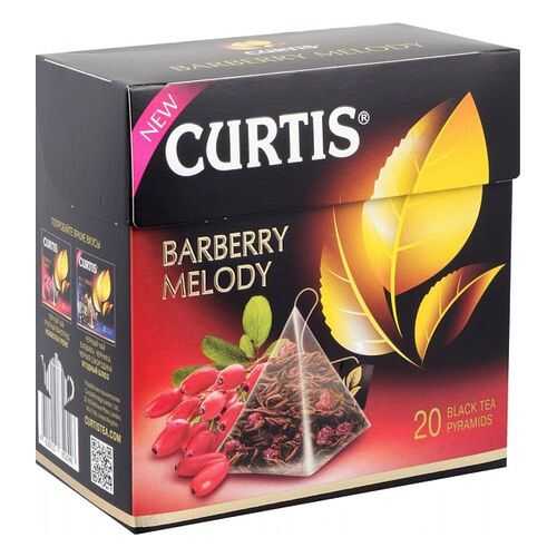 Чай черный Curtis barberry melody 20 пирамидок в МЕТРОНОМ