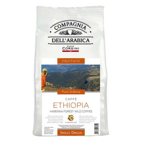 Кофе в зернах Compagnia Dell'Arabica Ethiopia Harenna Forest Wild 500г в МЕТРОНОМ