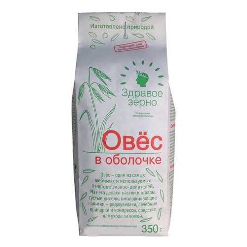 Овёс в оболочке Здравое зерно в МЕТРОНОМ
