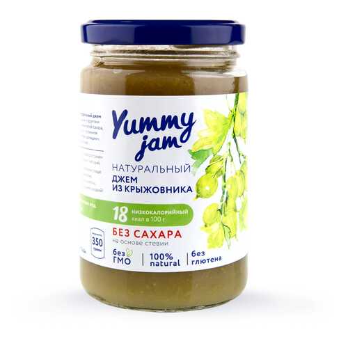 Джем Yummy jam из крыжовника без сахара 350 г в МЕТРОНОМ